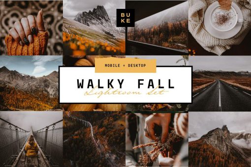 مجموعه پریست Walky Fall