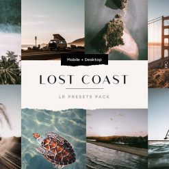 مجموعه پریست Lost Coast
