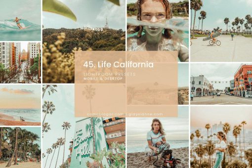 مجموعه پریست Life California