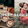 مجموعه پریست FOREST BERRIES